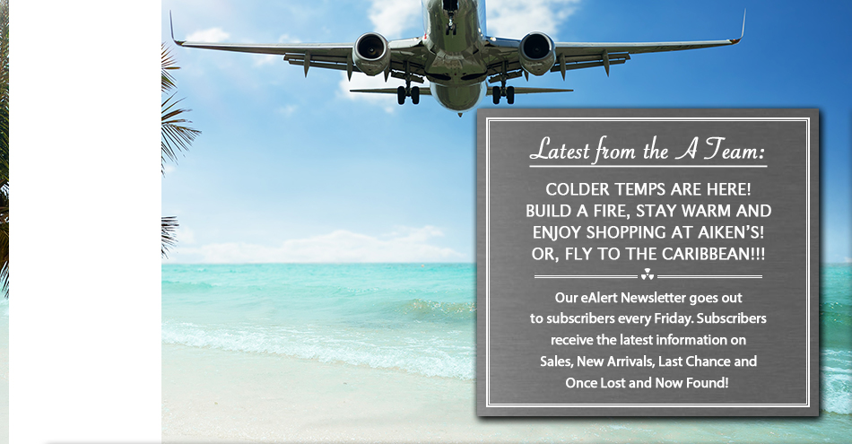 inspired model planes