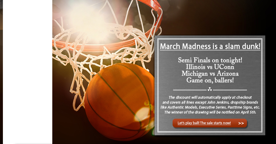 inspired model planes